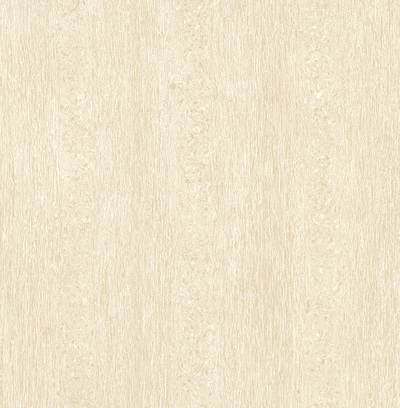 线石 Vertical Line