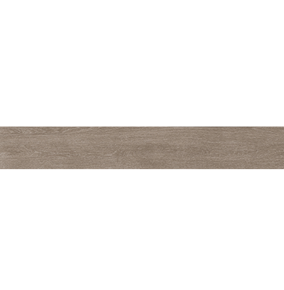 探界者 Ergon-Trend